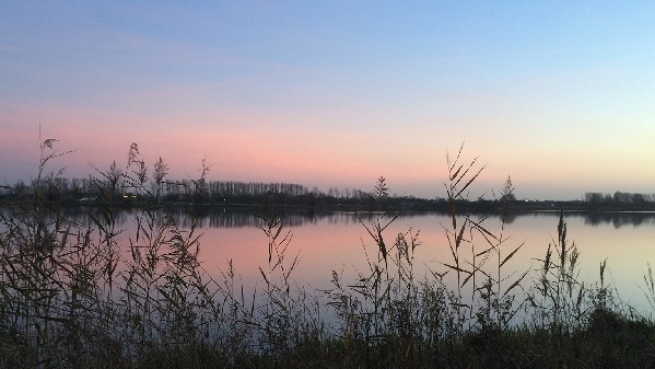 Oosterduinse Meer in Noordwijkerhout