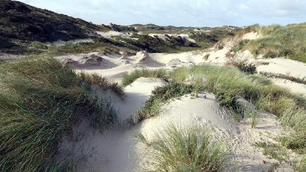 Natuurreservaat Coepelduynen